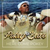 Here Come Pokey - Single