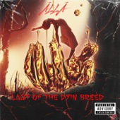 Last of the Dyin Breed artwork