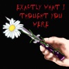 Exactly What I Thought You Were - Single