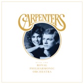 Carpenters - Touch Me When We're Dancing