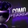 Como Perrea (Remix) - Single album lyrics, reviews, download