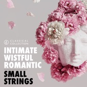 Classical Collection - Small Strings artwork