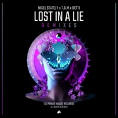 Lost in a Lie (Remixes) - EP artwork