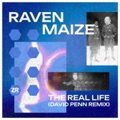 The Real Life (David Penn Extended Remix) artwork