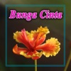 Bunga Cinta