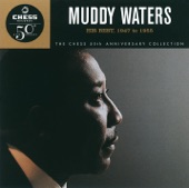 Muddy Waters - Honey Bee