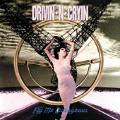 Drivin' N' Cryin' - Fly Me Courageous