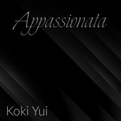 Piano Sonata No. 23 in F Minor, Op. 57, Appassionata, II. Andante artwork