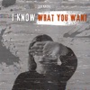 I Know What You Want - Single