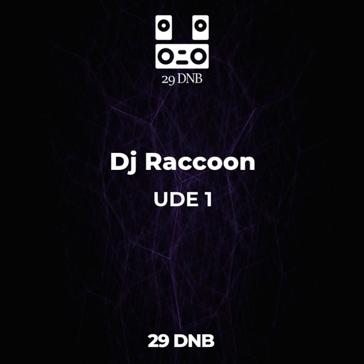 Ude 1 - Single by DJ Raccoon