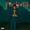 Feeling - Single album lyrics, reviews, download