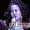 Elvy & Orkes Melayu Purnama HITS