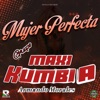 Mujer Perfecta - Single