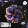 Bloom - Single