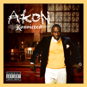 Smack That (feat. Eminem) - Akon Cover Art