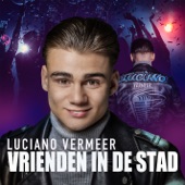 Vrienden In De Stad artwork