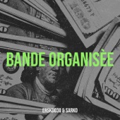 Bande Organisèe (feat. Sarko) artwork