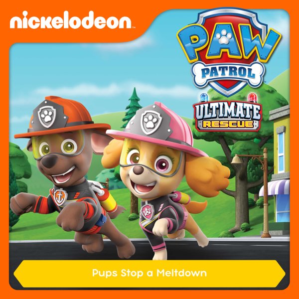 paw patrol pups stop a meltdown