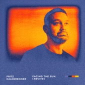 Facing The Sun (Revive - Edit) artwork