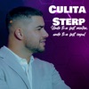 Unde Ti-A Fost Mintea - Single