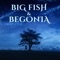Big Fish (From "Big Fish & Begonia") artwork
