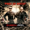 Pasi ja Anssi - Bambina (WTF)