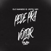 Pede pra Voltar - Single