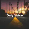 Only Voice - Single album lyrics, reviews, download
