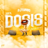 Mix Dosis De Perreo (feat. TRB Records) artwork