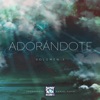 Adorándote, Vol. 5