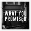 What You Promised - Single