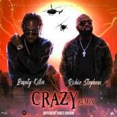 Crazy (remix) artwork