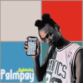 Palmpay artwork