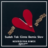 Sudah Tak Cinta Remix Slow artwork