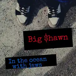 In the Ocean with Jaws - Single by Big Shawn album reviews, ratings, credits