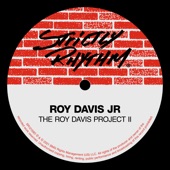 The Roy Davis Project II - EP artwork