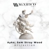 Attraction (Extended Mix) - Single