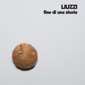 Fine di una storia artwork