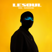 Soul Awakening - DJ LeSoul