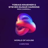 World Of House (Radio Version) artwork
