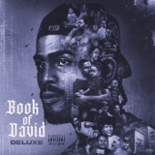 Book of David (Deluxe) artwork