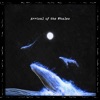 Arrival of the Whales - Single