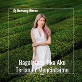 Bagaimana Jika Aku Terlanjur Mencintaimu (remix) artwork