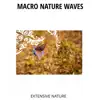 Macro Nature Waves - Extensive Nature album lyrics, reviews, download