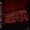 Freedom Destiny - Single album lyrics, reviews, download