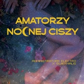 Amatorzy Nocnej Ciszy (feat. SWIERNALIS) artwork