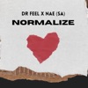 Normalize - Single