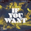If You Want - Single