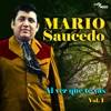 Mario Saucedo - Que Bonito