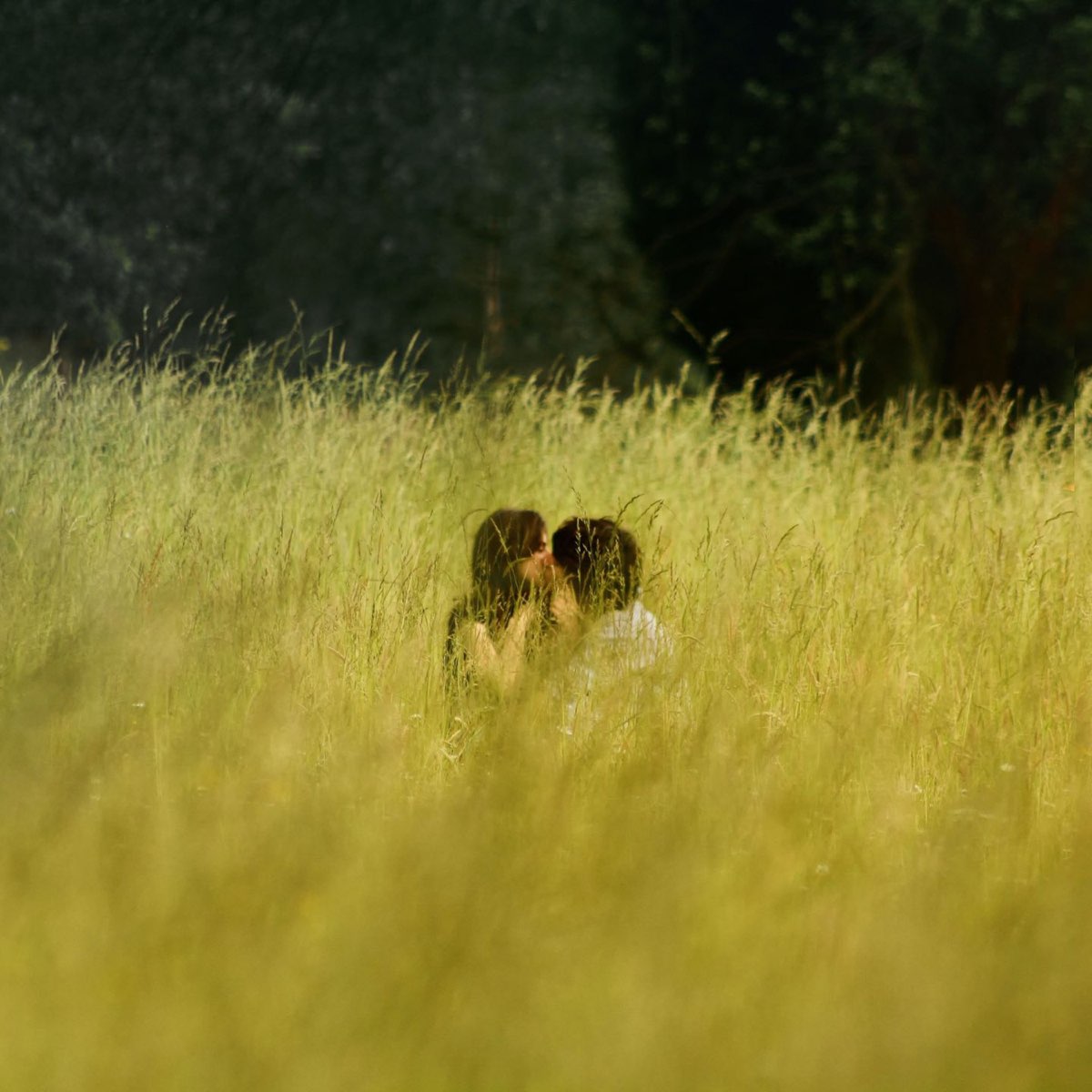 Cher l amore. Собака на пастбище. Человек в поле фото. Картина влюбленная пара в траве Аванград. Gentle Spirit ( @charityjoylove).